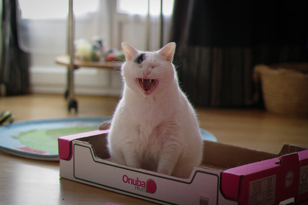 北美大陆上演足球哲学对决，皇家社会用反现代控场艺术，完胜莱比锡的数字足球