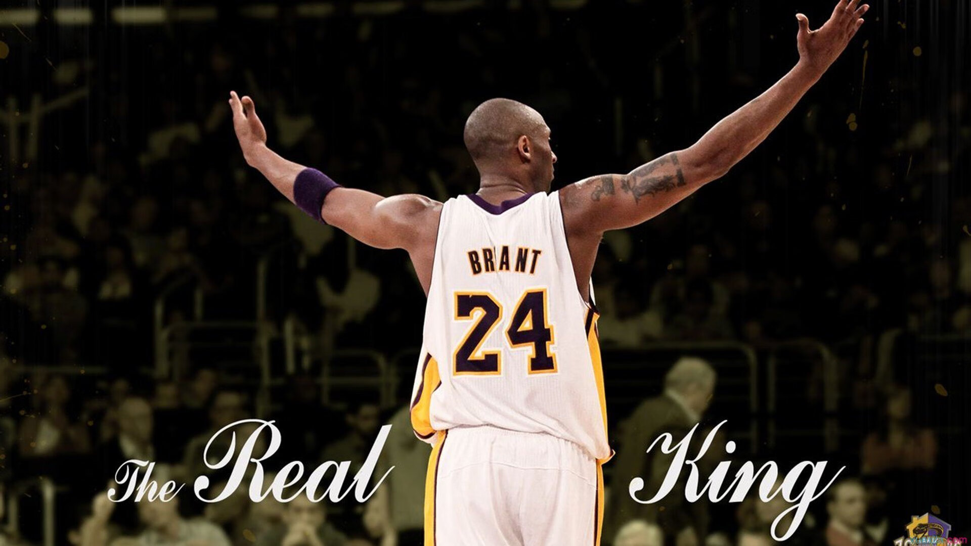 乔治封神之战!独行侠掀翻灰熊创历史,NBA总决赛诞生新王